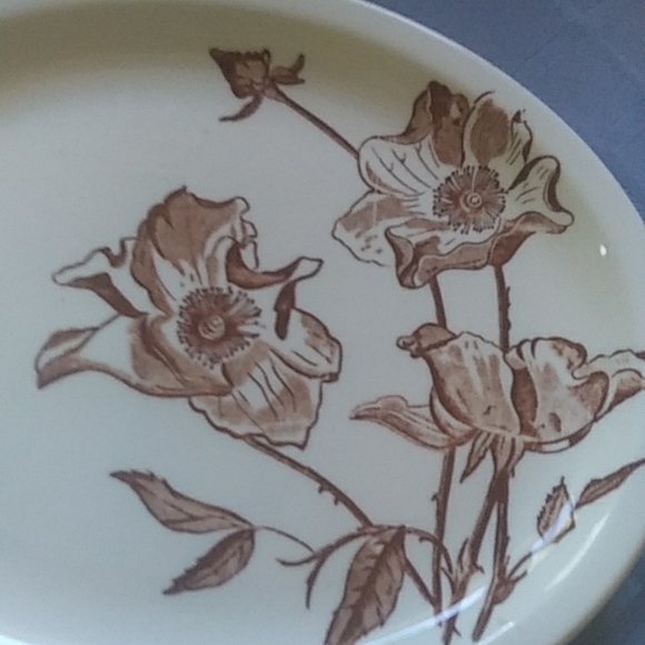 Vintage Carine China Hibiscus Themed Platter - Picture 2 of 3
